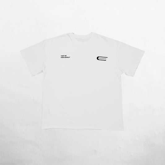 Oversized T-Shirt White 250G Bird