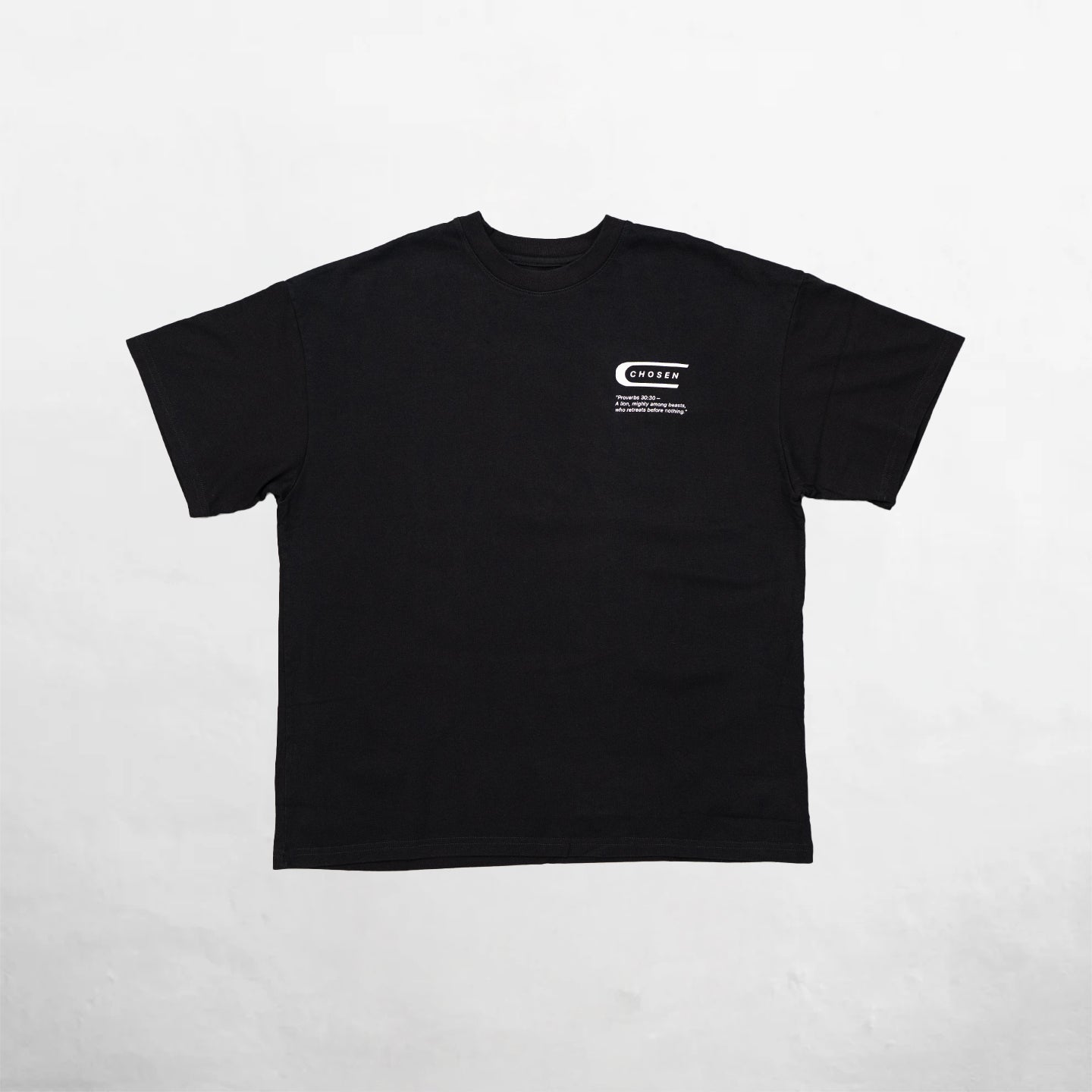 Oversize T-Shirt Black 250G Lion