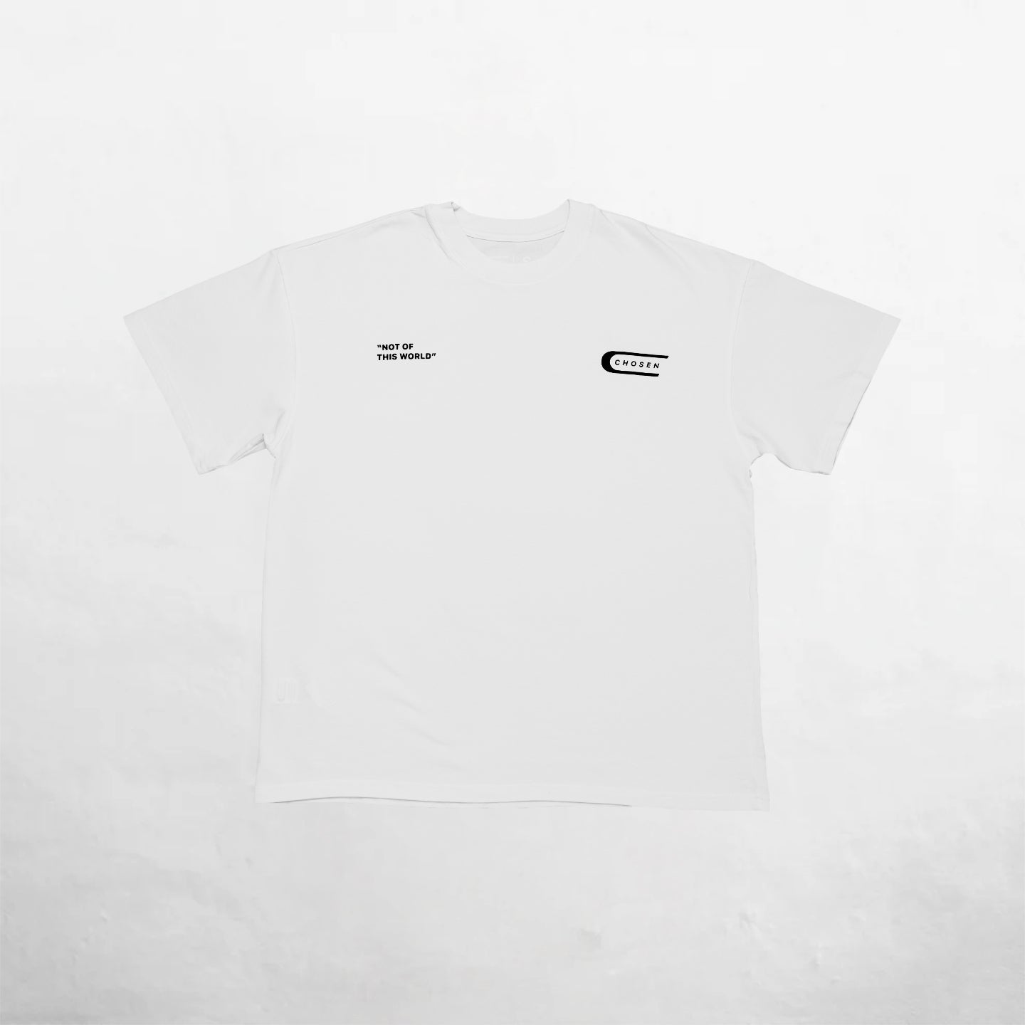 Oversize T-Shirt White 250G Bird