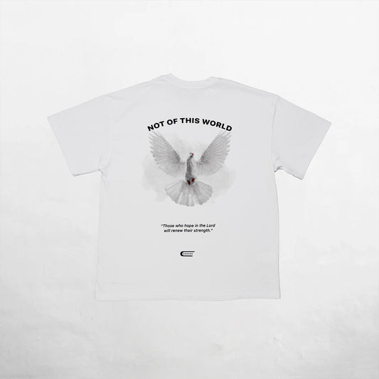 Oversize T-Shirt White 250G Bird